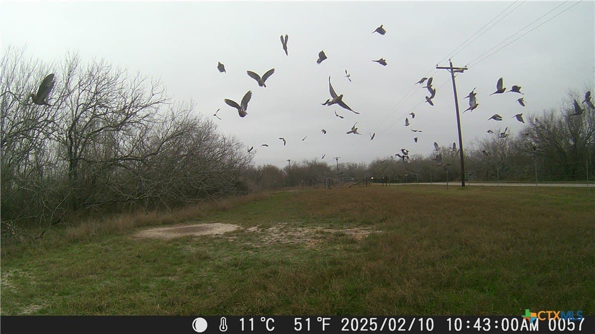 25 acres in Goliad County - photo 5