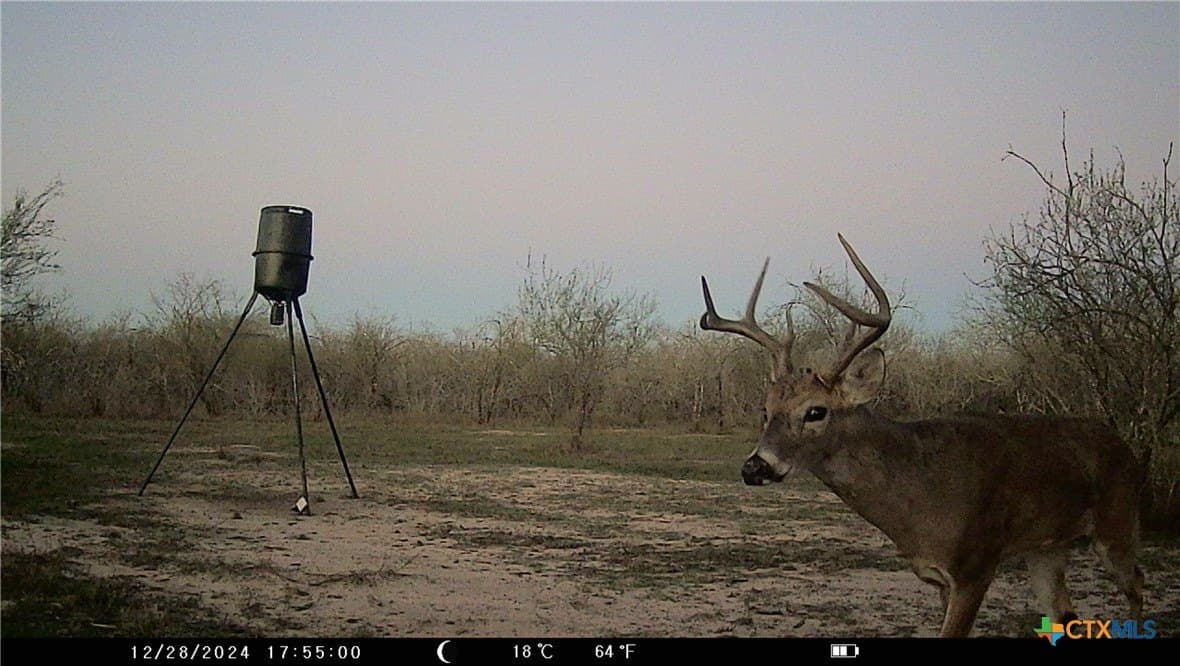 25 acres in Goliad County - photo 9