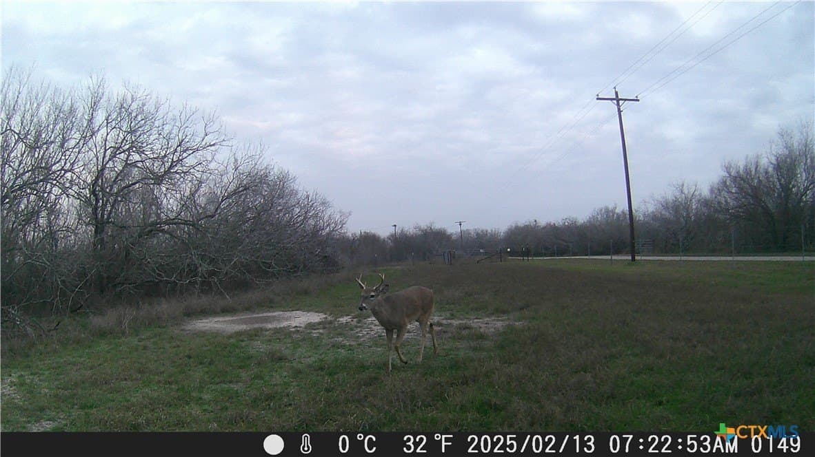 25 acres in Goliad County - photo 7