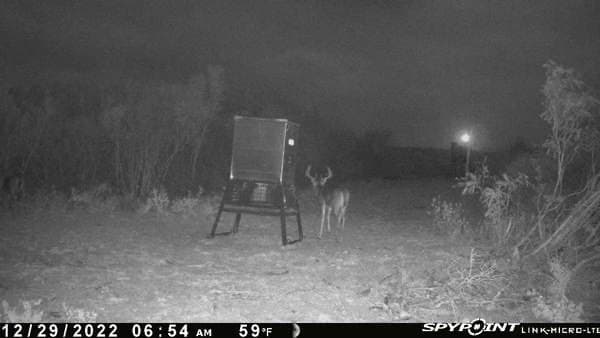 50 acres in Duval County - photo 13