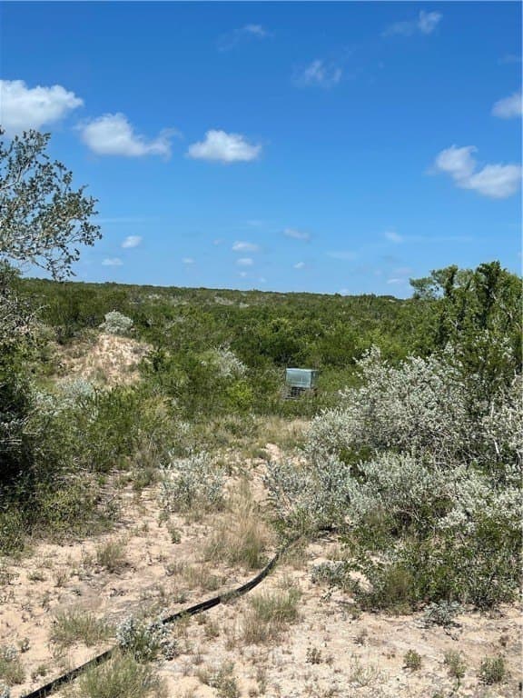 50 acres in Duval County - photo 7