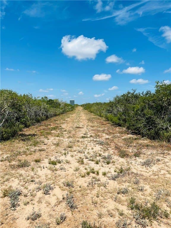 50 acres in Duval County - photo 6