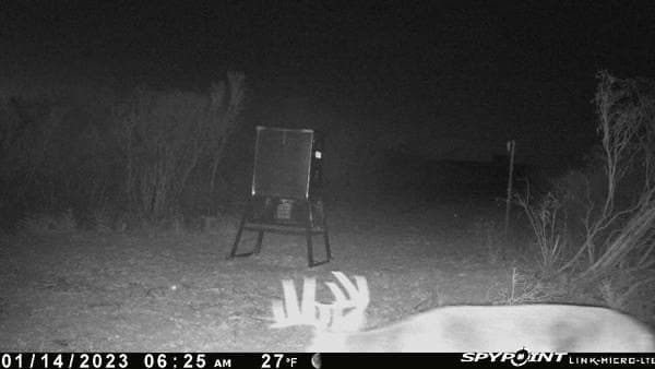 50 acres in Duval County - photo 14