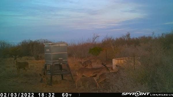 50 acres in Duval County - photo 11