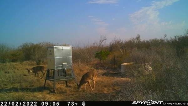50 acres in Duval County - photo 12