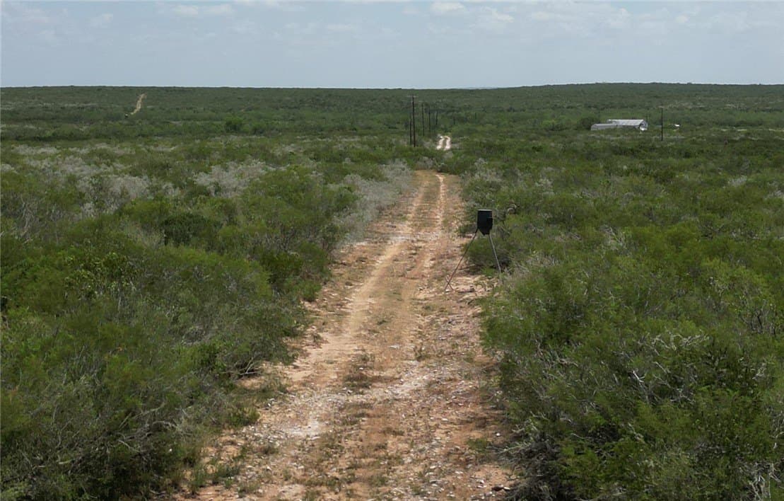 50 acres in Duval County - photo 5