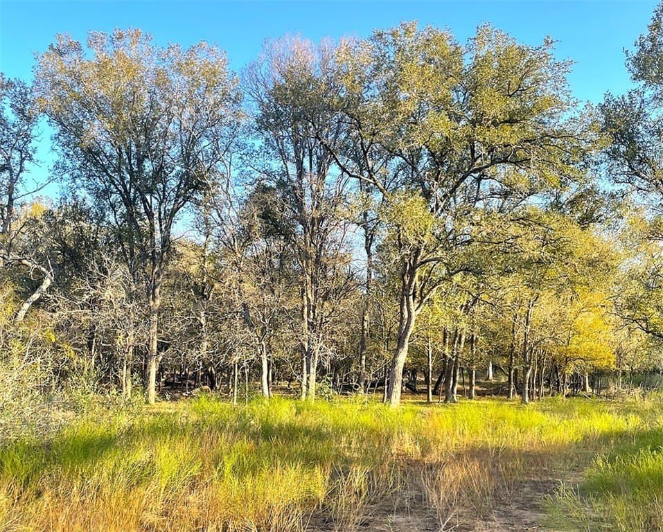 111 acres in Gonzales County - photo 2