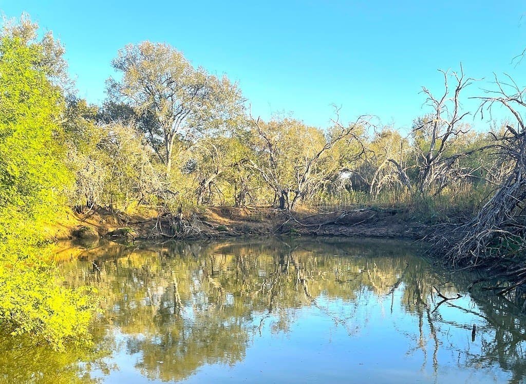 111 acres in Gonzales County - photo 3