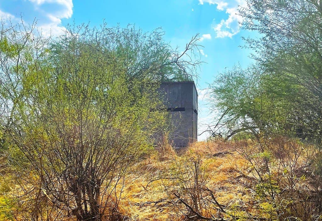 111 acres in Gonzales County - photo 4