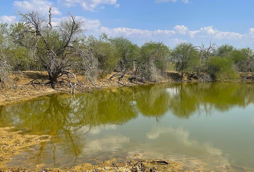 111 acres in Gonzales County - photo 18