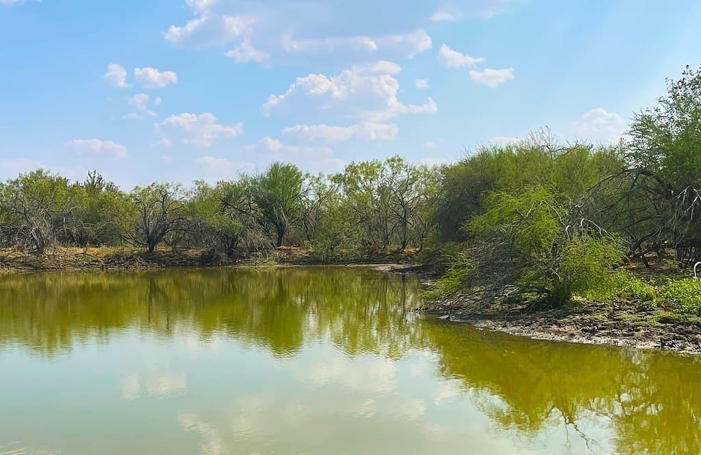 111 acres in Gonzales County - photo 17