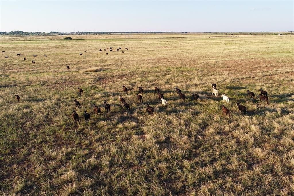 340 acres in Wilbarger County - photo 10