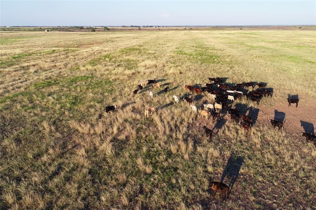 340 acres in Wilbarger County - photo 9