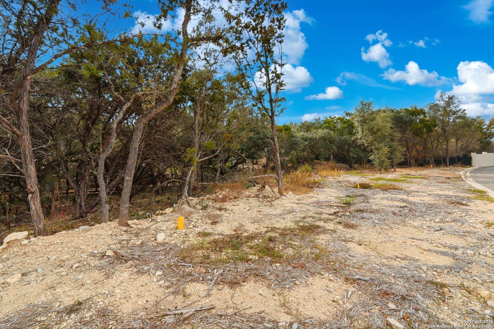 0.29 acres in Bexar County - photo 9