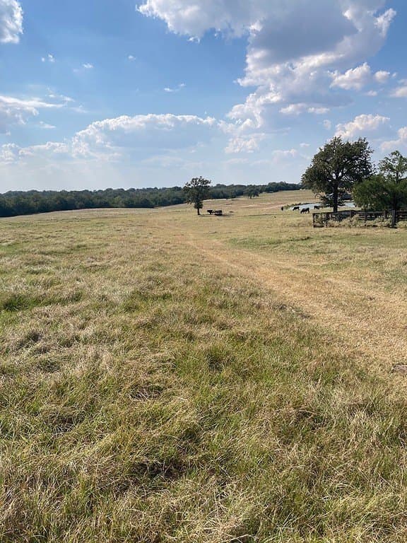 97.59 acres in Burleson County - photo 4