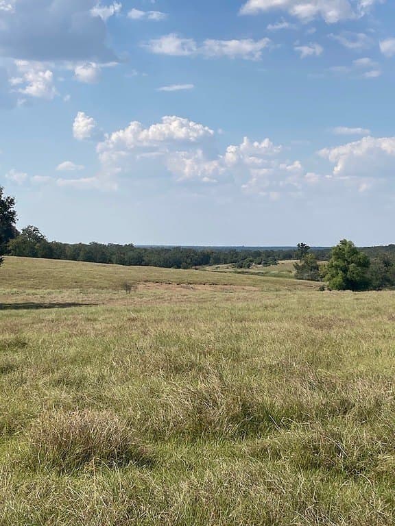 97.59 acres in Burleson County - photo 3
