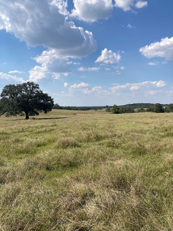 97.59 acres in Burleson County - photo 2