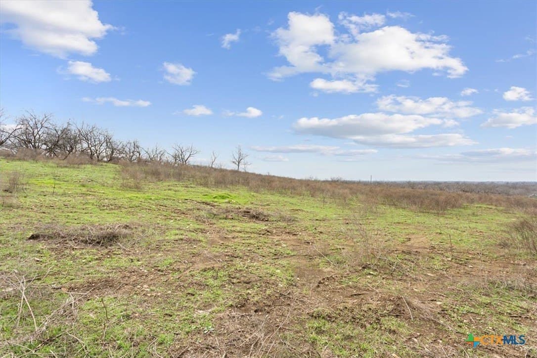 24 acres in Bell County - photo 10