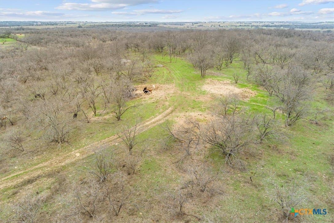 24 acres in Bell County - photo 8
