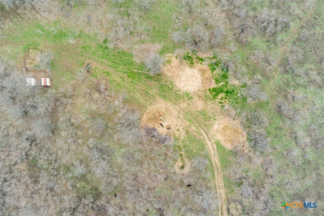 24 acres in Bell County - photo 5