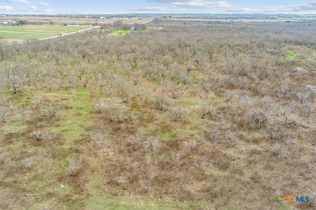 24 acres in Bell County - photo 15