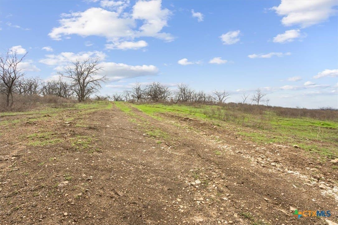 24 acres in Bell County - photo 9