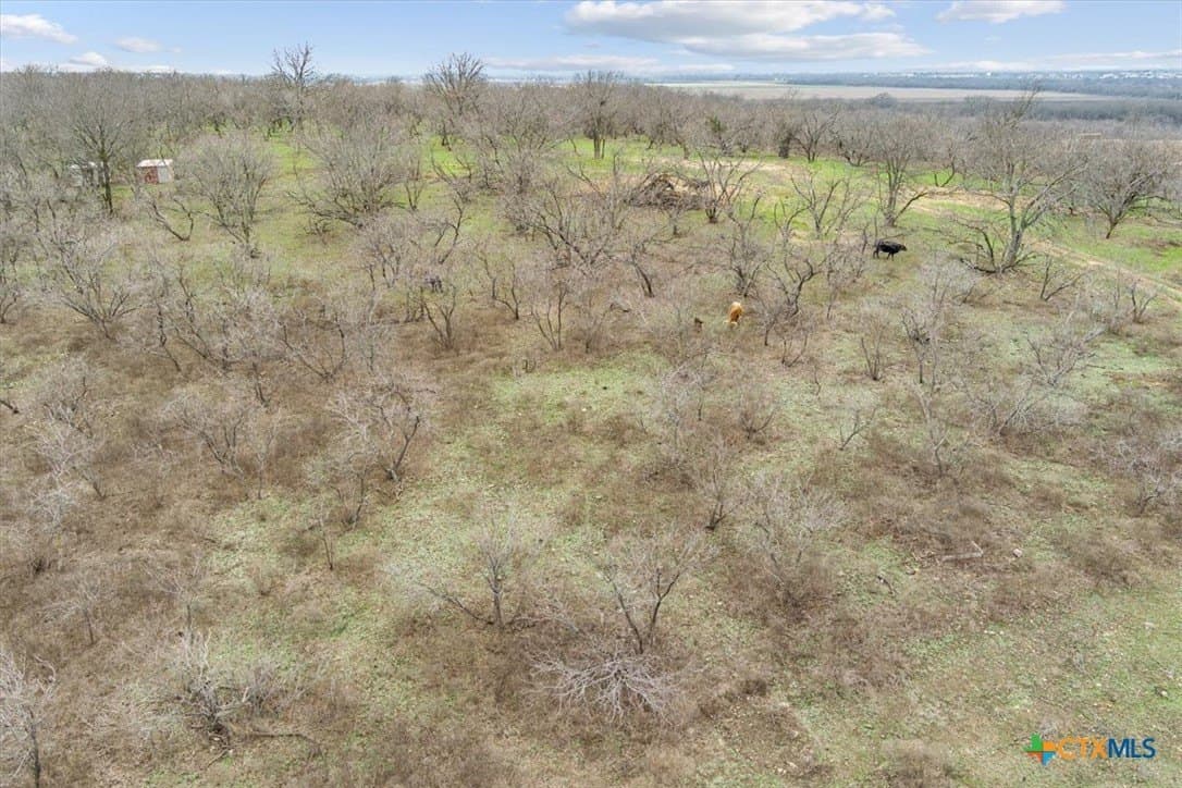 24 acres in Bell County - photo 7