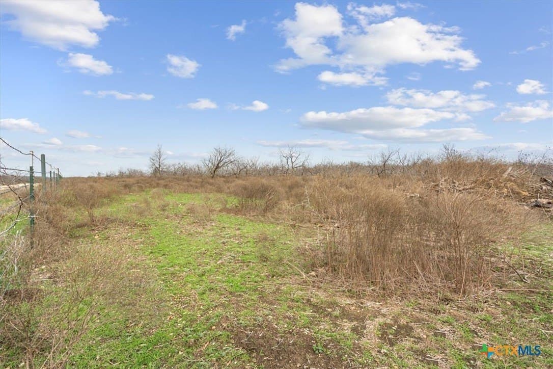 24 acres in Bell County - photo 12