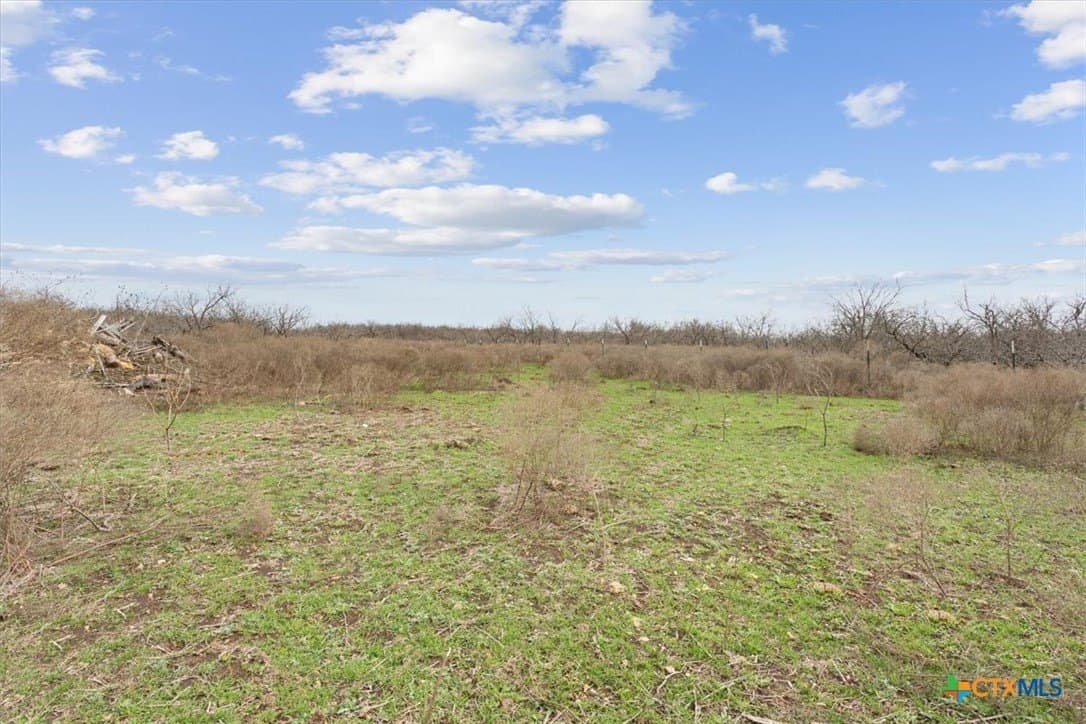 24 acres in Bell County - photo 11