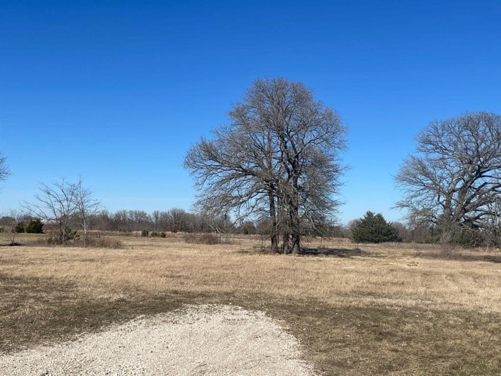 1.37 acres in Kaufman County - photo 4