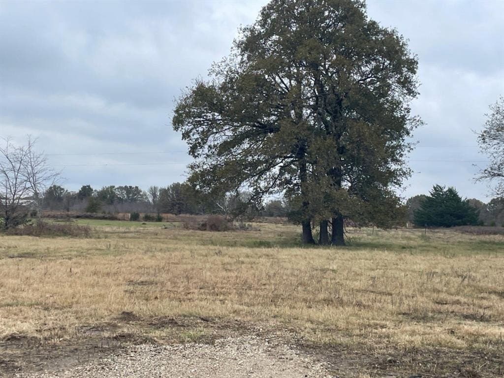 1.37 acres in Kaufman County - photo 9