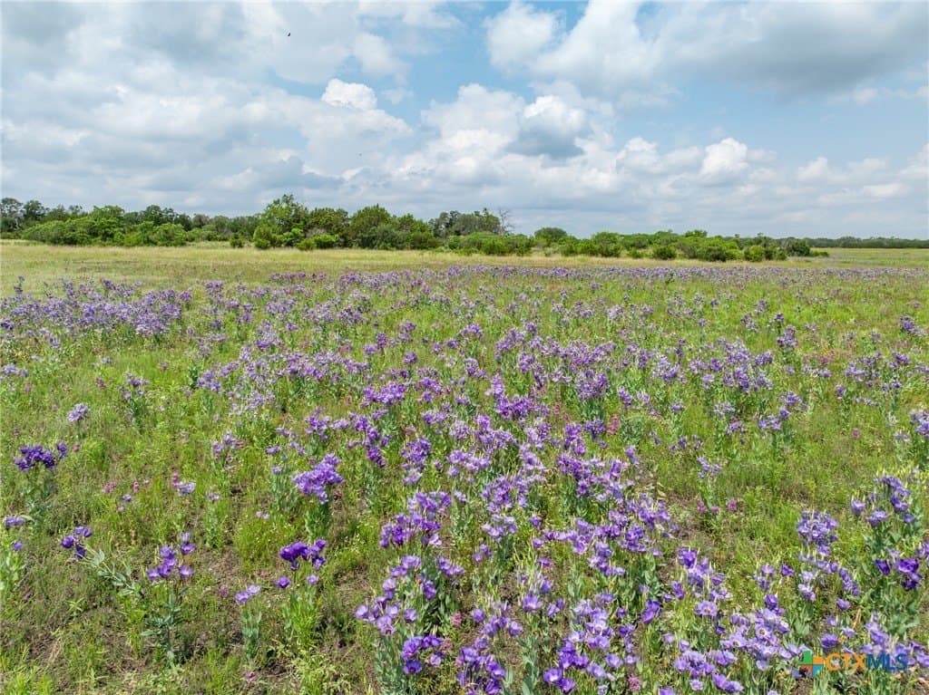 15.01 acres in Hamilton County - photo 10