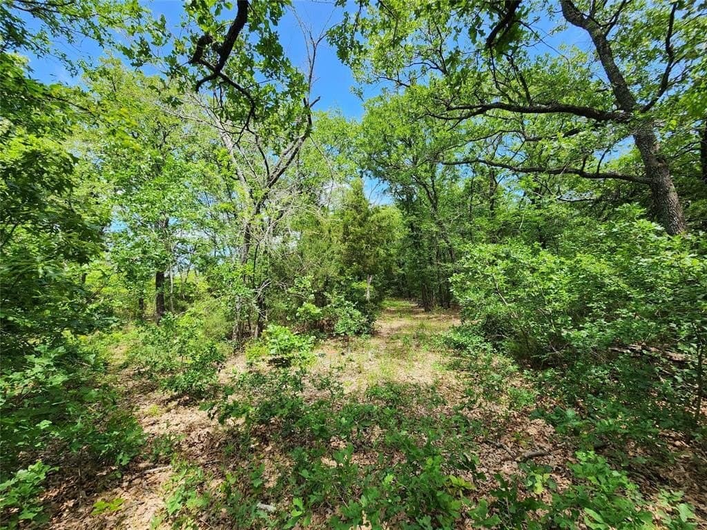 67.74 acres in Hopkins County - photo 16