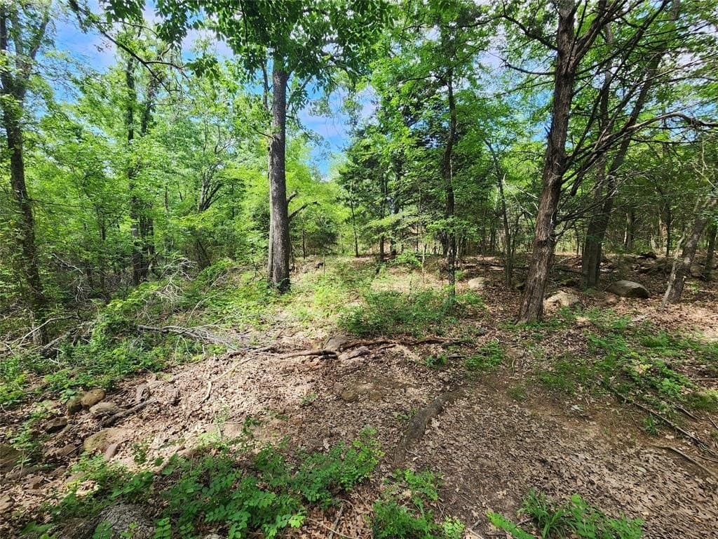 67.74 acres in Hopkins County - photo 27