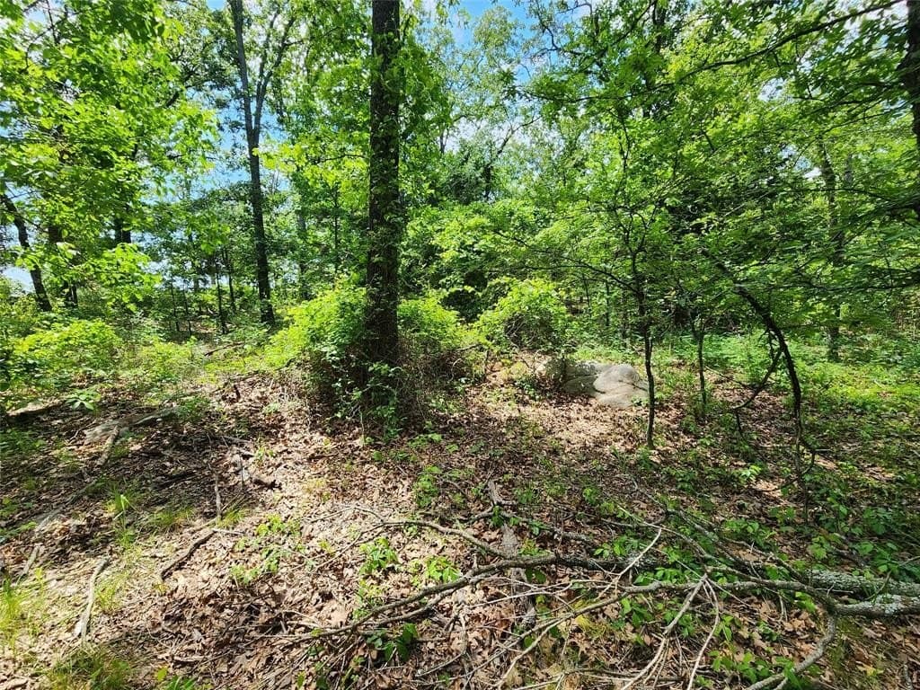 67.74 acres in Hopkins County - photo 22