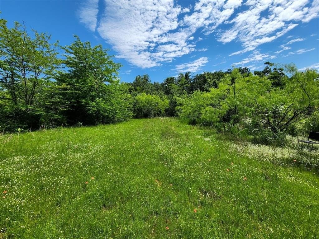 67.74 acres in Hopkins County - photo 8