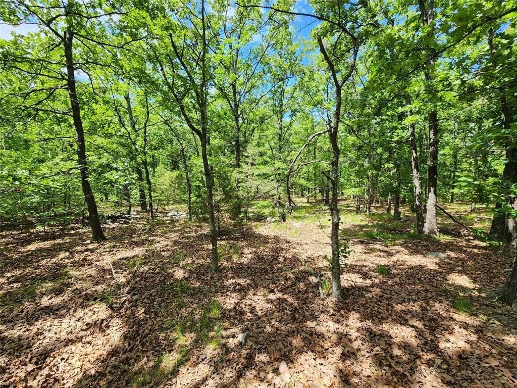 67.74 acres in Hopkins County - photo 20