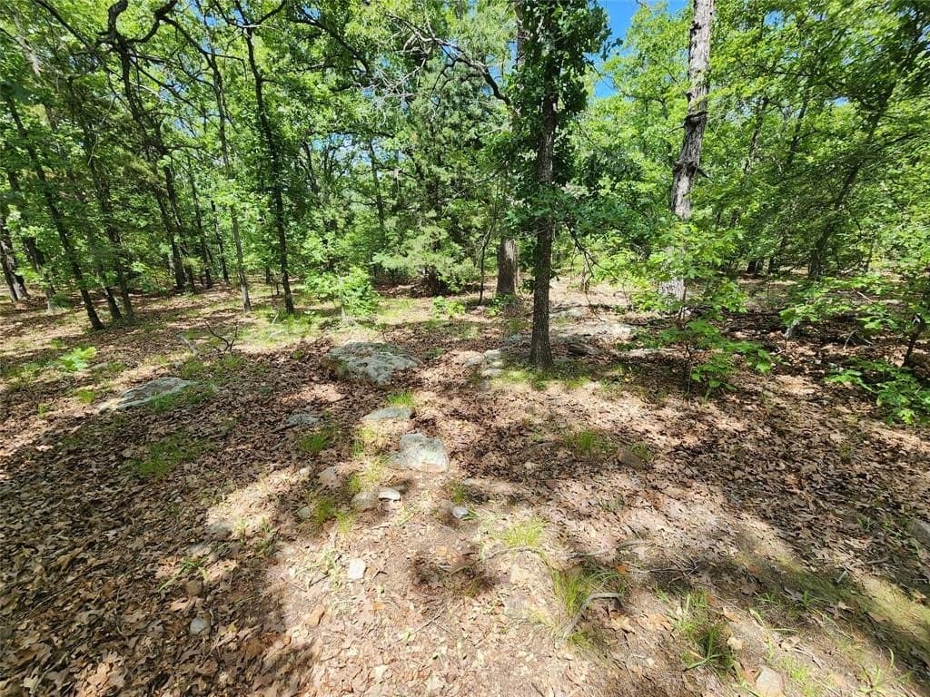 67.74 acres in Hopkins County - photo 19