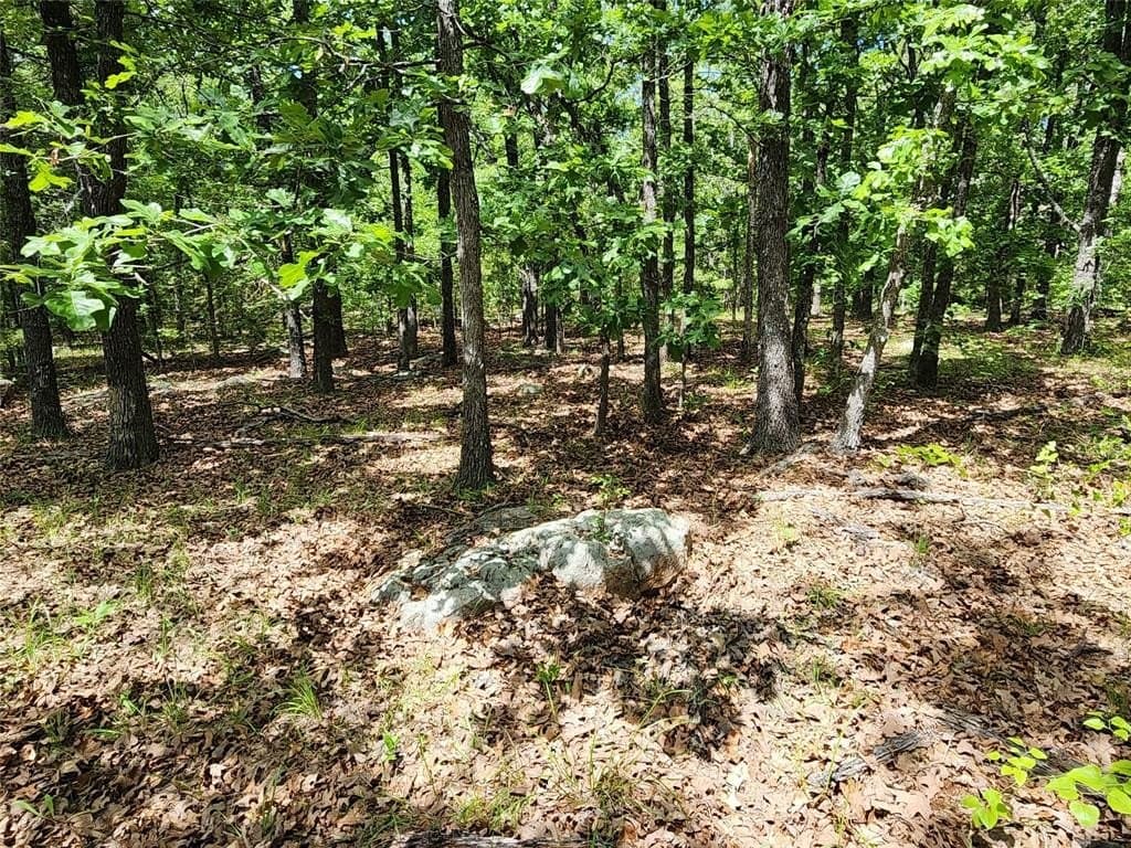 67.74 acres in Hopkins County - photo 21