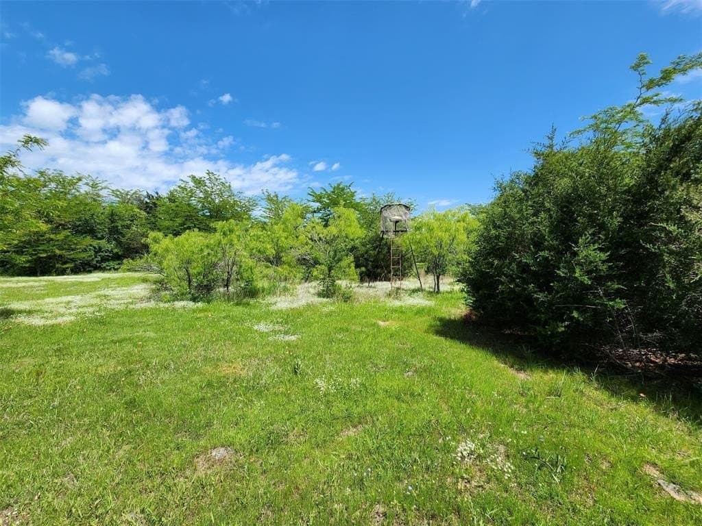 67.74 acres in Hopkins County - photo 10
