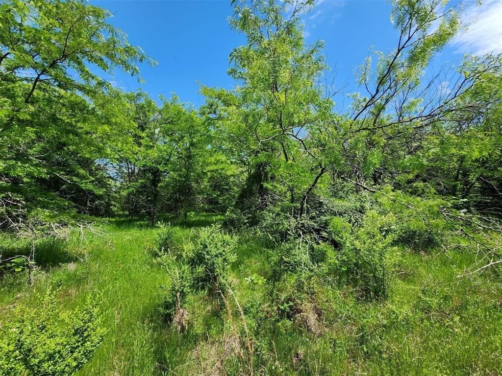 67.74 acres in Hopkins County - photo 3