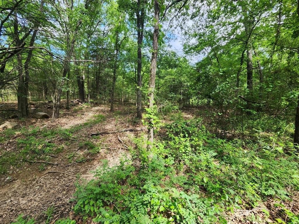 67.74 acres in Hopkins County - photo 28