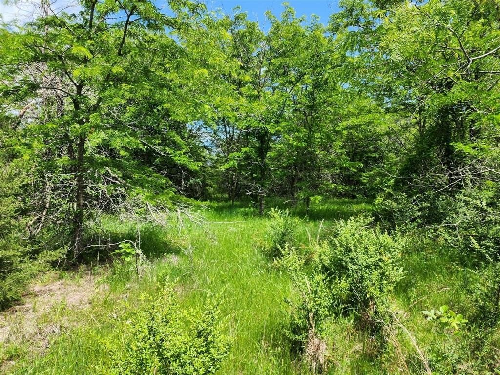 67.74 acres in Hopkins County - photo 2