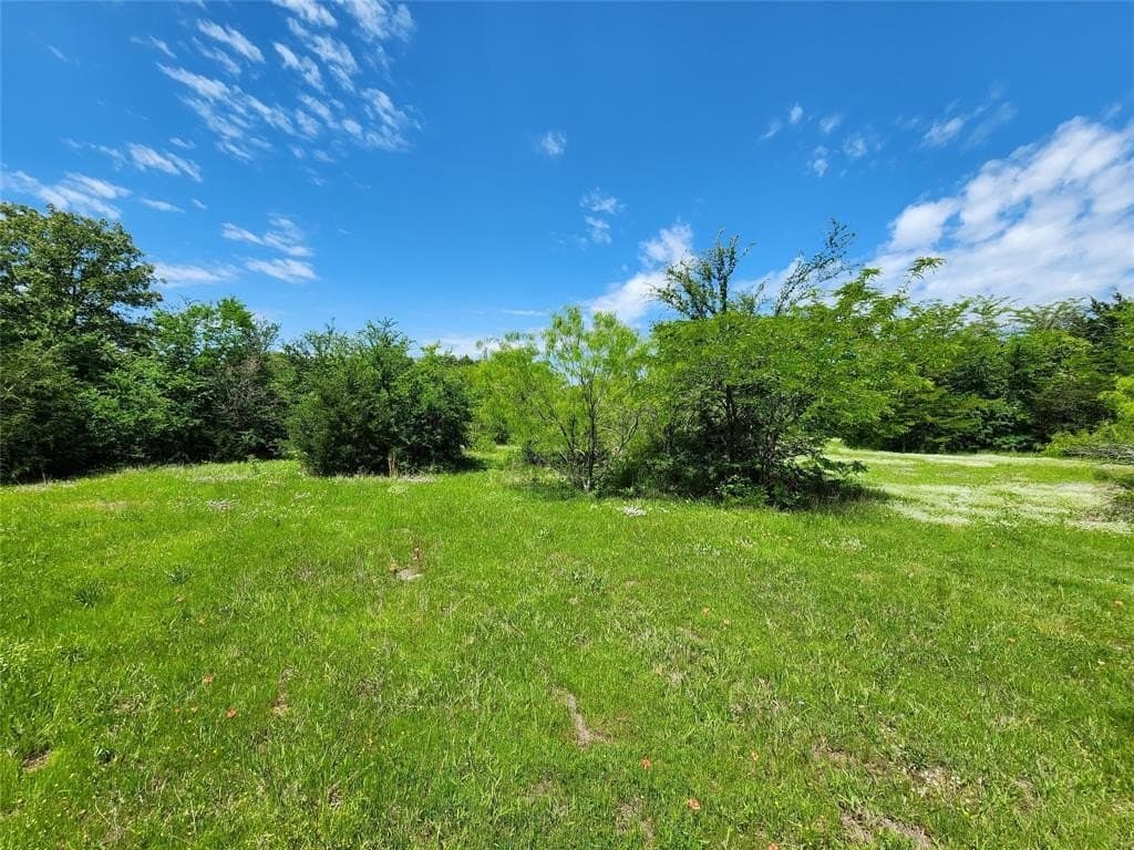 67.74 acres in Hopkins County - photo 11