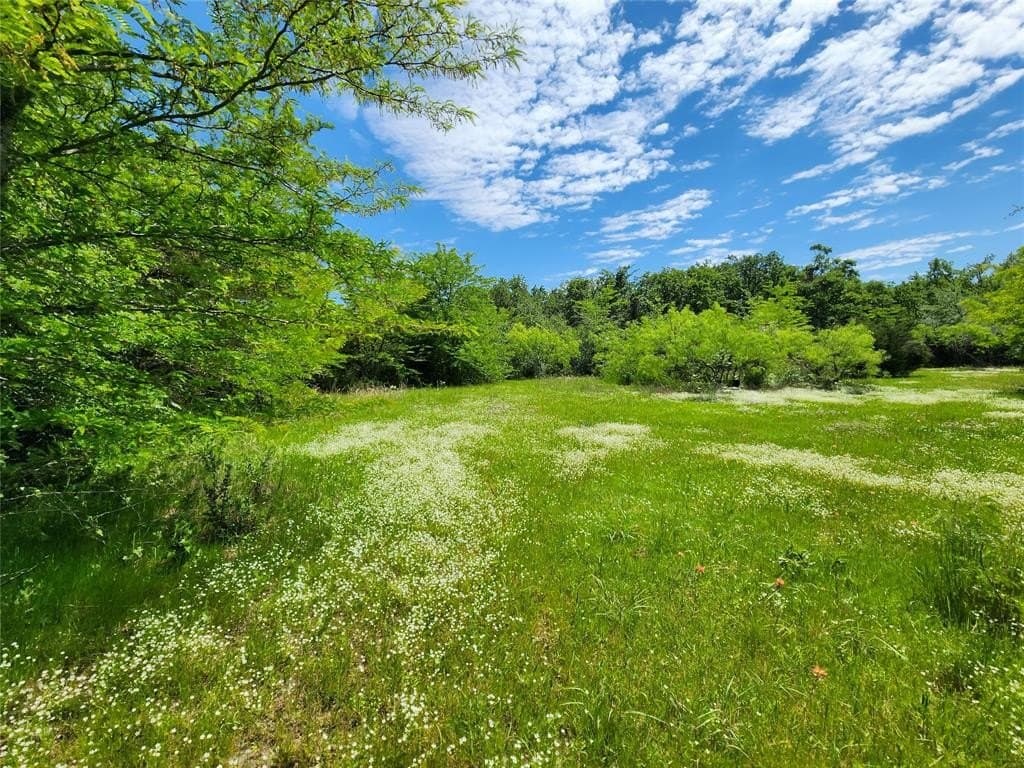 67.74 acres in Hopkins County - photo 4