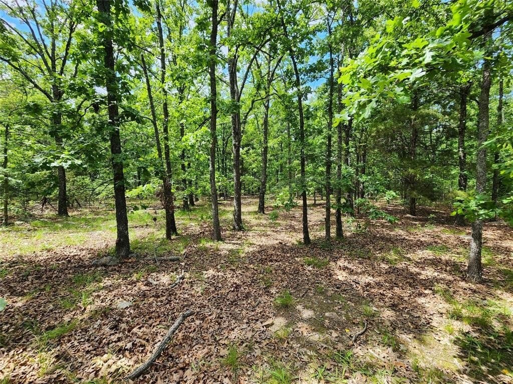 67.74 acres in Hopkins County - photo 17