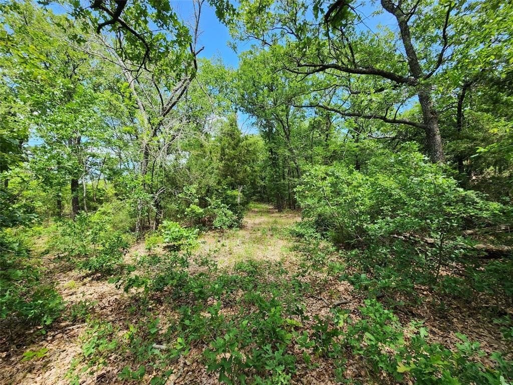 67.74 acres in Hopkins County - photo 15