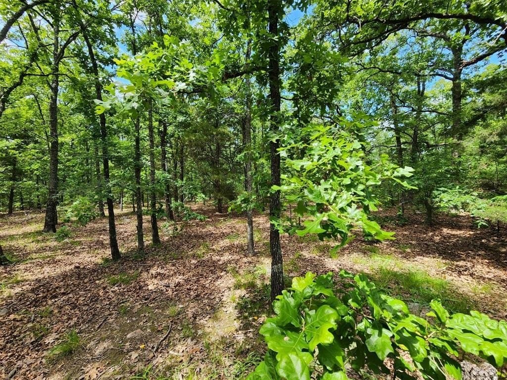 67.74 acres in Hopkins County - photo 18