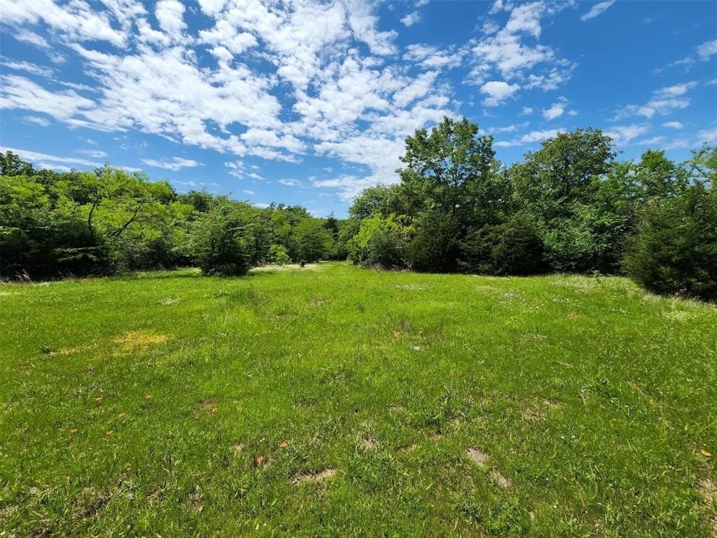 67.74 acres in Hopkins County - photo 9