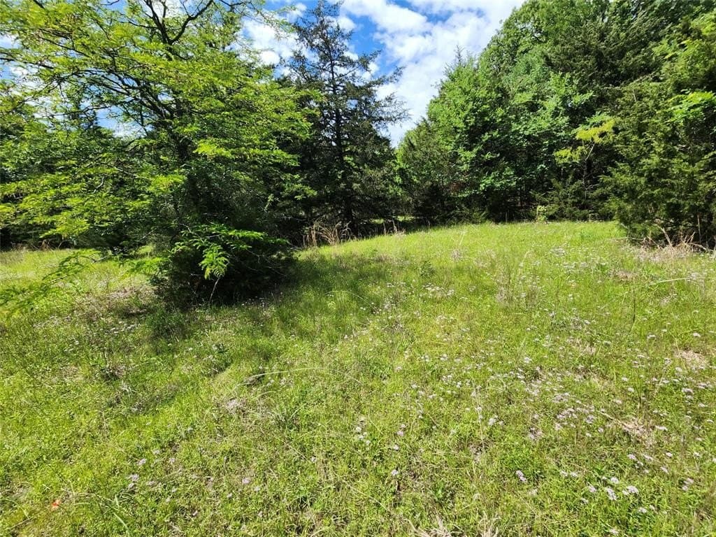 67.74 acres in Hopkins County - photo 26